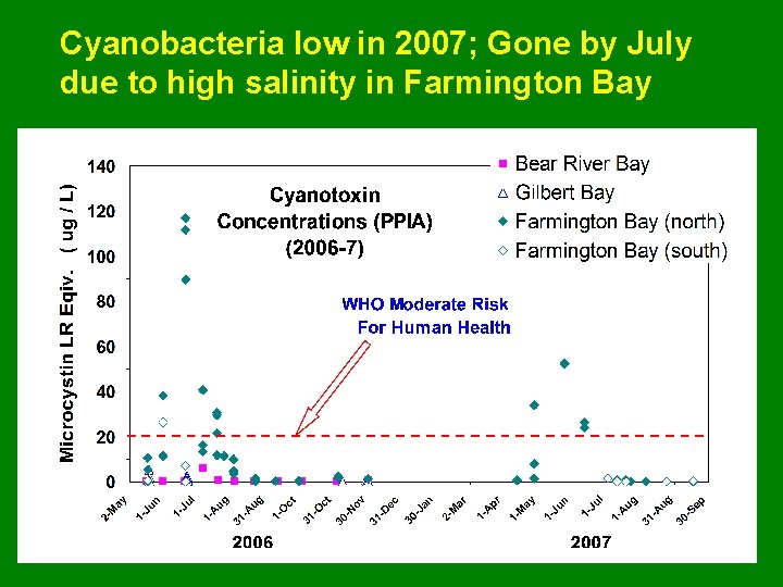 Cyanobacteria low in 2007; Gone by July due to high salinity in Farmington Bay