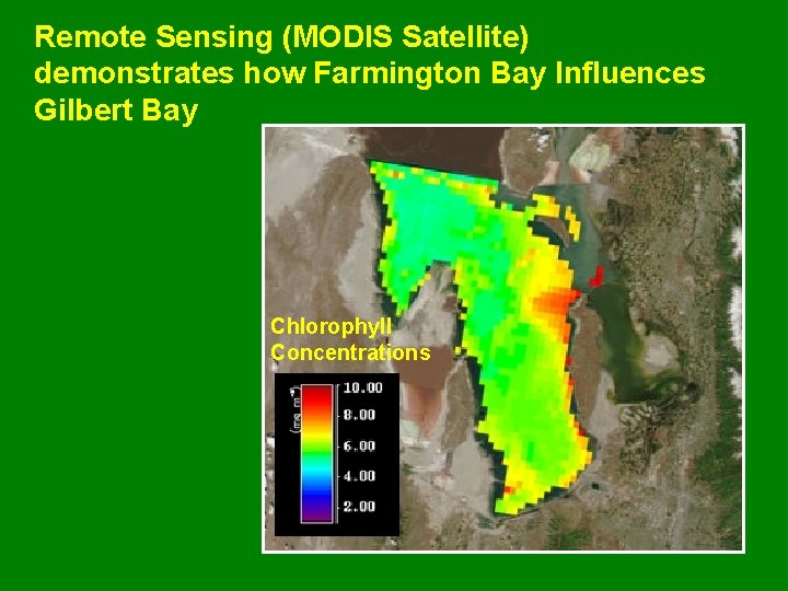 Remote Sensing (MODIS Satellite) demonstrates how Farmington Bay Influences Gilbert Bay Chlorophyll Concentrations 