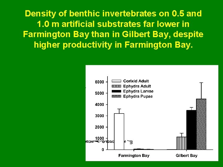 Density of benthic invertebrates on 0. 5 and 1. 0 m artificial substrates far
