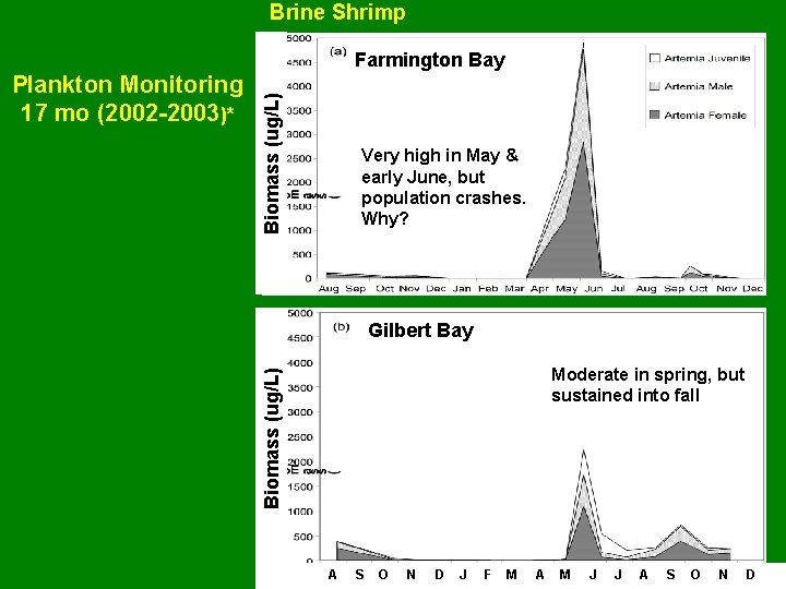 Brine Shrimp Very high in May & early June, but population crashes. Why? -