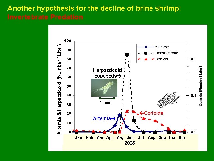 Artemia & Harpacticoid (Number / Liter) Another hypothesis for the decline of brine shrimp: