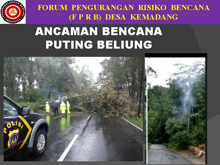 FORUM PENGURANGAN RISIKO BENCANA (F P R B) DESA KEMADANG ANCAMAN BENCANA PUTING BELIUNG