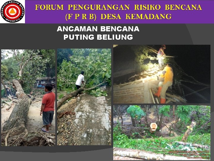 ANCAMAN BENCANA PUTING BELIUNG 