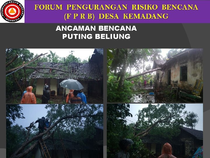 ANCAMAN BENCANA PUTING BELIUNG 