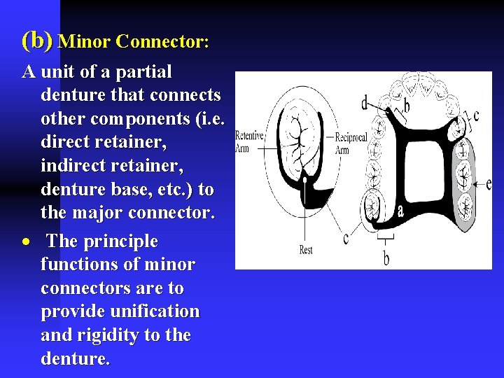 (b) Minor Connector: A unit of a partial denture that connects other components (i.