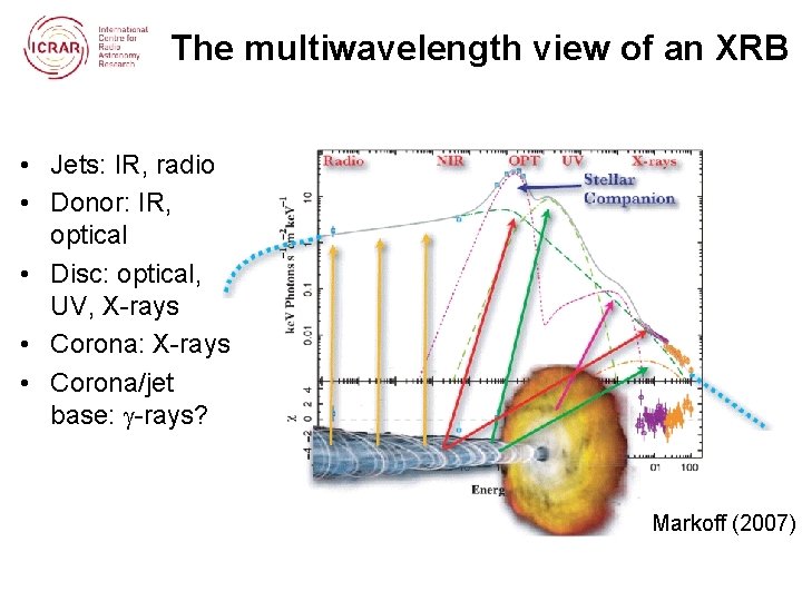 The multiwavelength view of an XRB • Jets: IR, radio • Donor: IR, optical
