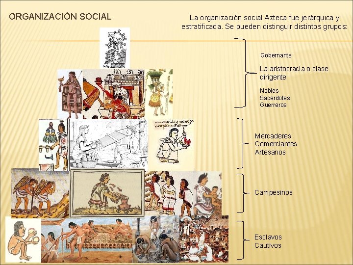 ORGANIZACIÓN SOCIAL La organización social Azteca fue jerárquica y estratificada. Se pueden distinguir distintos