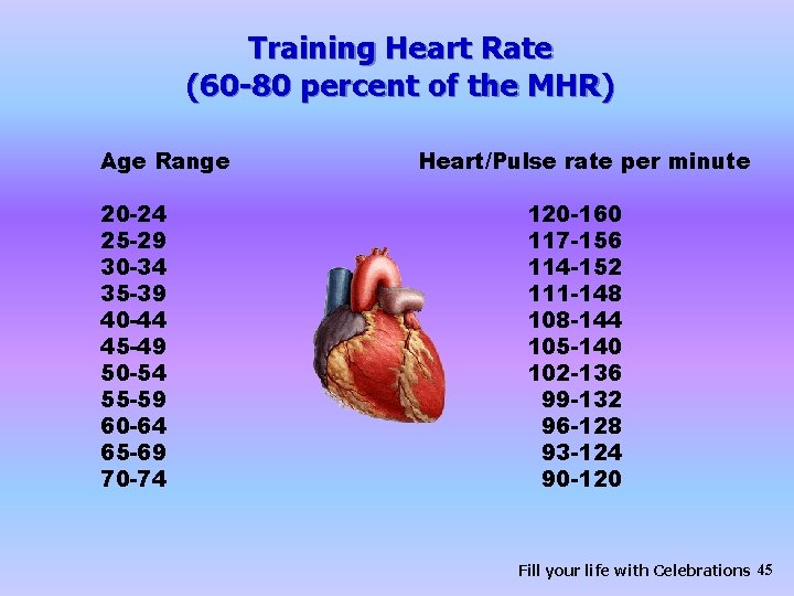 Training Heart Rate (60 -80 percent of the MHR) Age Range 20 -24 25