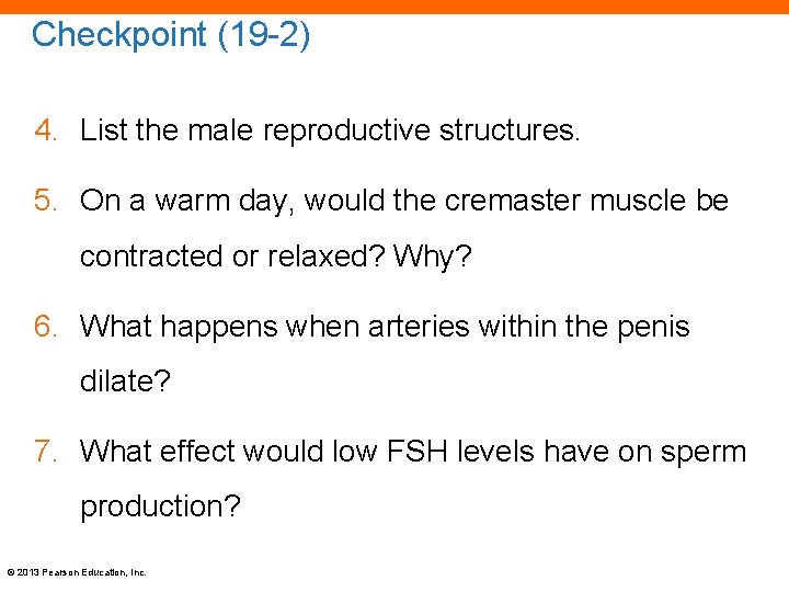 Checkpoint (19 -2) 4. List the male reproductive structures. 5. On a warm day,