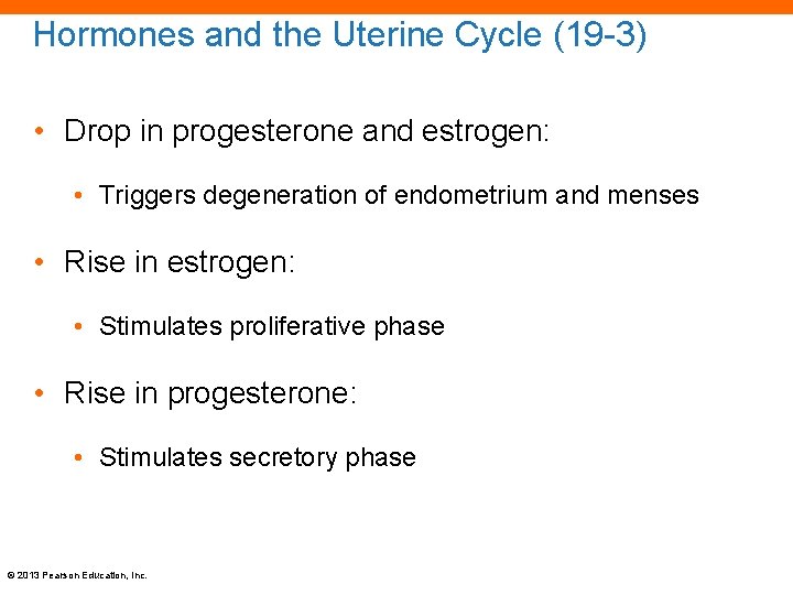 Hormones and the Uterine Cycle (19 -3) • Drop in progesterone and estrogen: •