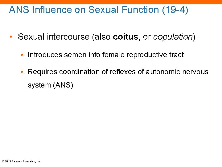 ANS Influence on Sexual Function (19 -4) • Sexual intercourse (also coitus, or copulation)