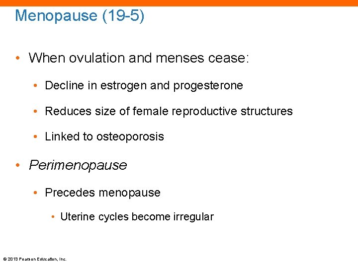 Menopause (19 -5) • When ovulation and menses cease: • Decline in estrogen and