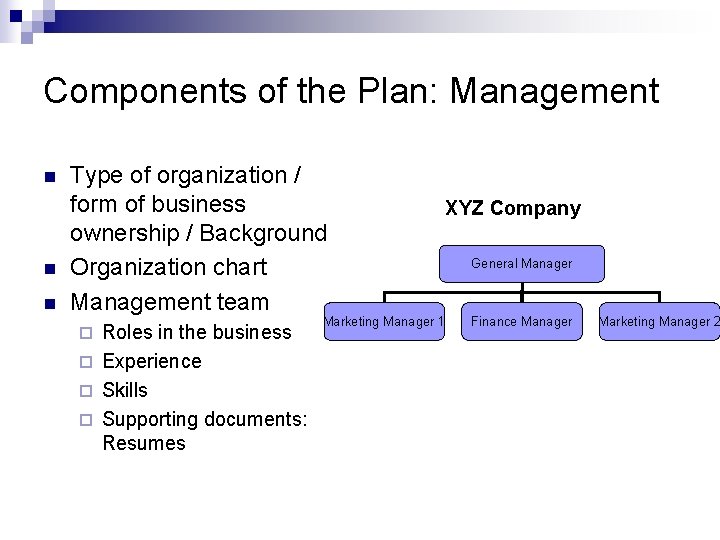 Components of the Plan: Management n n n Type of organization / form of