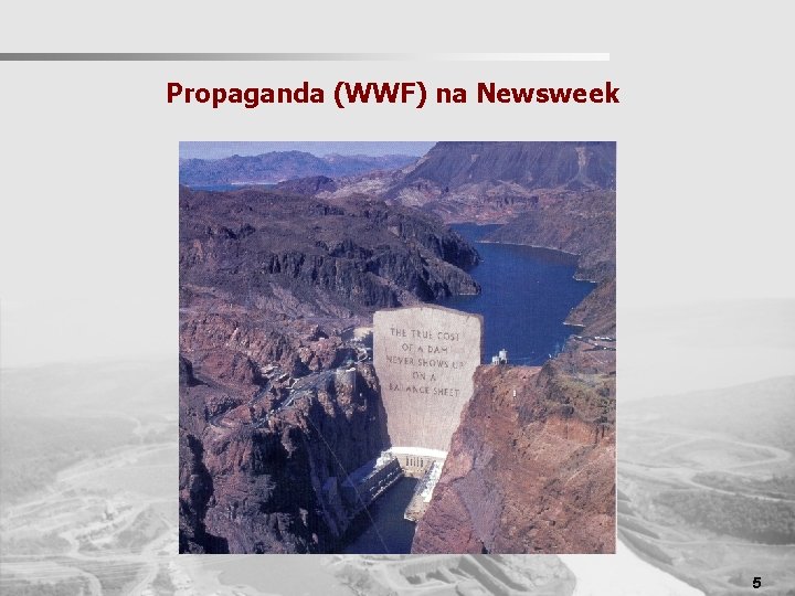 Propaganda (WWF) na Newsweek 5 