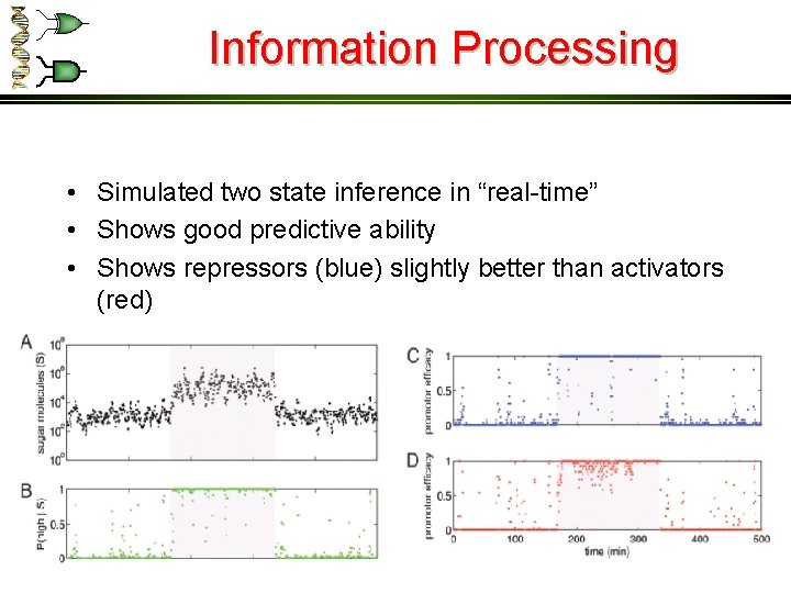 Information Processing • Simulated two state inference in “real-time” • Shows good predictive ability