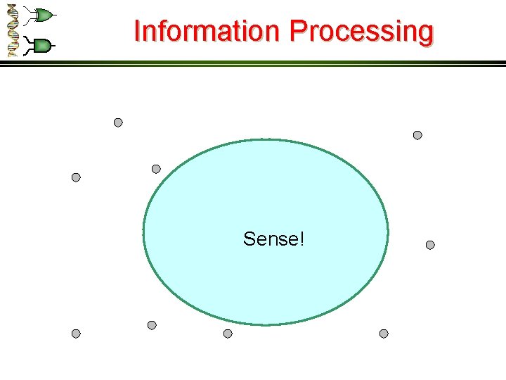 Information Processing Sense! 