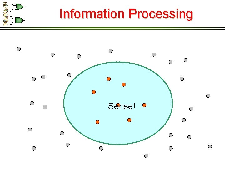 Information Processing Sense! 