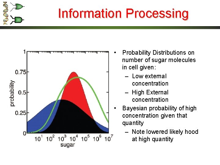 Information Processing • Probability Distributions on number of sugar molecules in cell given: –