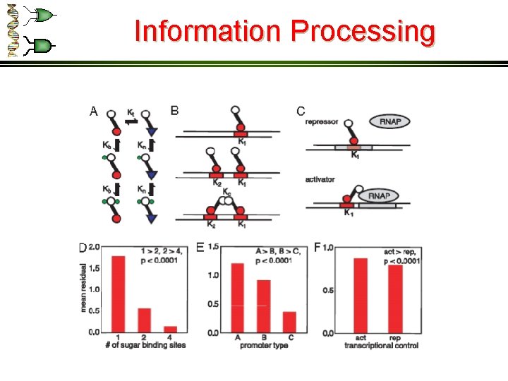 Information Processing 