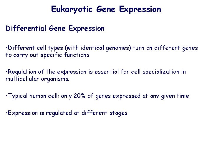 Eukaryotic Gene Expression Differential Gene Expression • Different cell types (with identical genomes) turn