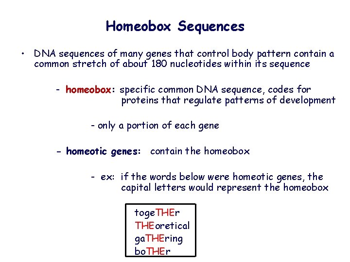 Homeobox Sequences • DNA sequences of many genes that control body pattern contain a