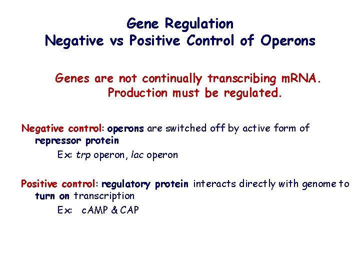 Gene Regulation Negative vs Positive Control of Operons Genes are not continually transcribing m.