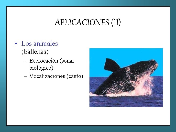 APLICACIONES (II) • Los animales (ballenas) – Ecolocación (sonar biológico) – Vocalizaciones (canto) 