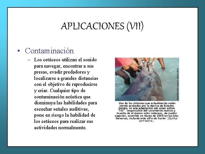 APLICACIONES (VII) • Contaminación – Los cetáceos utilizan el sonido para navegar, encontrar a