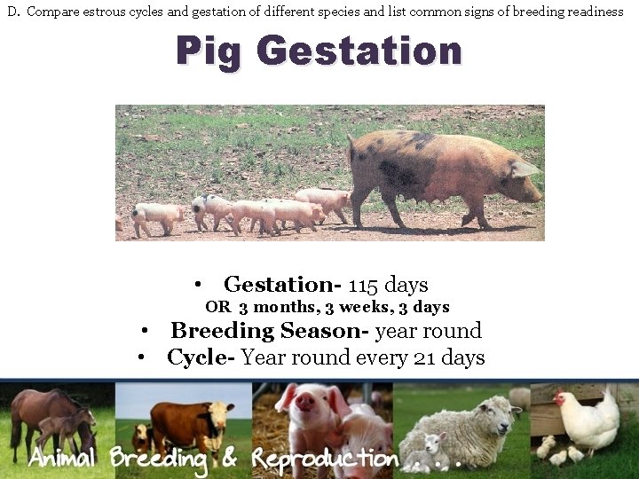 D. Compare estrous cycles and gestation of different species and list common signs of