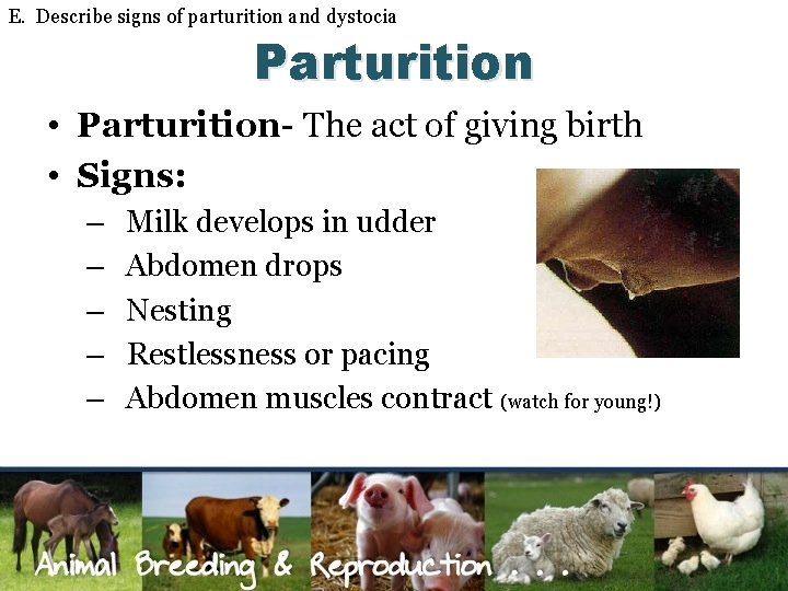 E. Describe signs of parturition and dystocia Parturition • Parturition- The act of giving