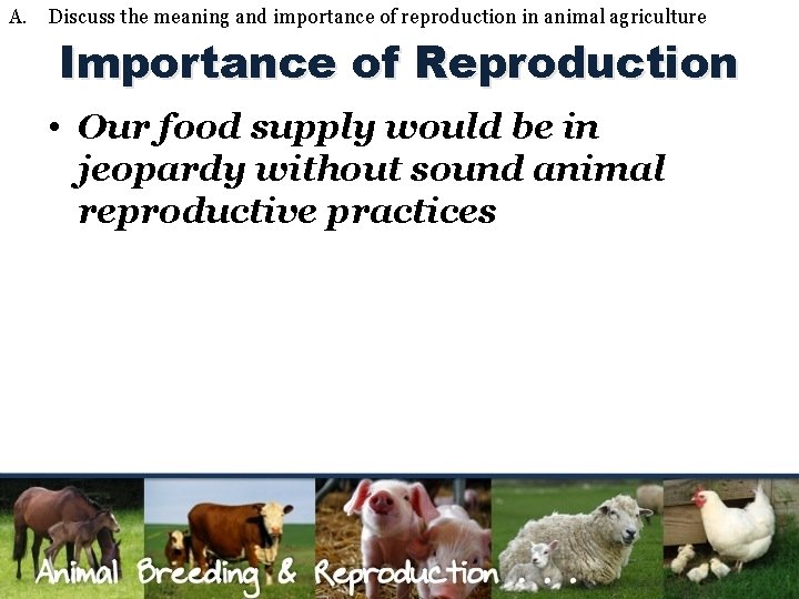 A. Discuss the meaning and importance of reproduction in animal agriculture Importance of Reproduction