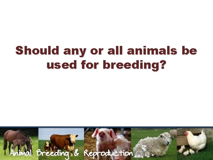 Should any or all animals be used for breeding? 