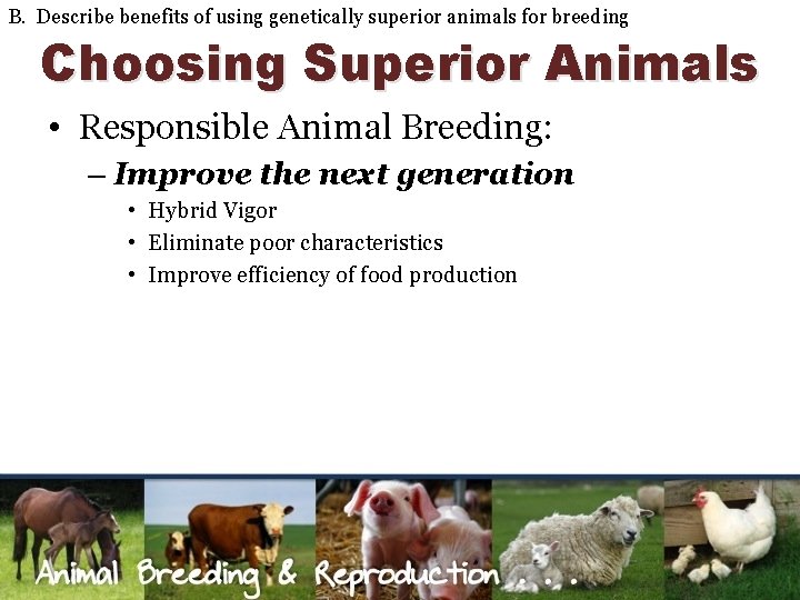 B. Describe benefits of using genetically superior animals for breeding Choosing Superior Animals •