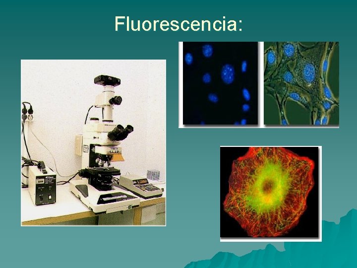 Fluorescencia: 