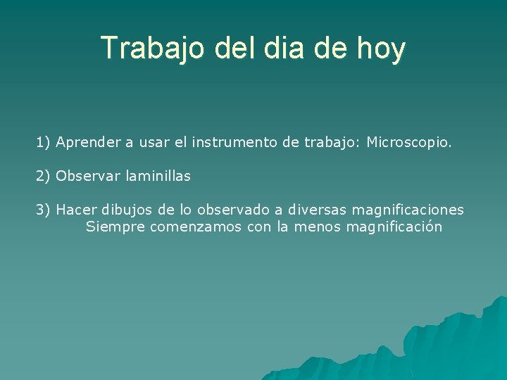Trabajo del dia de hoy 1) Aprender a usar el instrumento de trabajo: Microscopio.