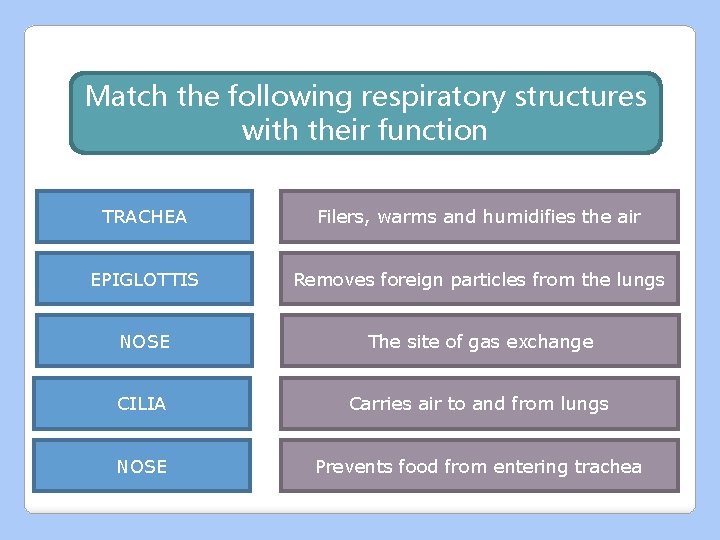 Match the following respiratory structures with their function TRACHEA Filers, warms and humidifies the