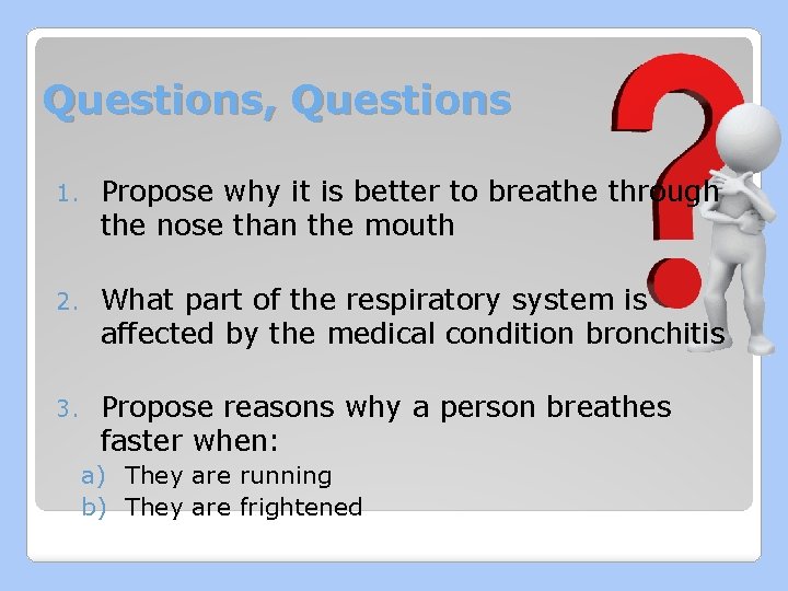 Questions, Questions 1. Propose why it is better to breathe through the nose than
