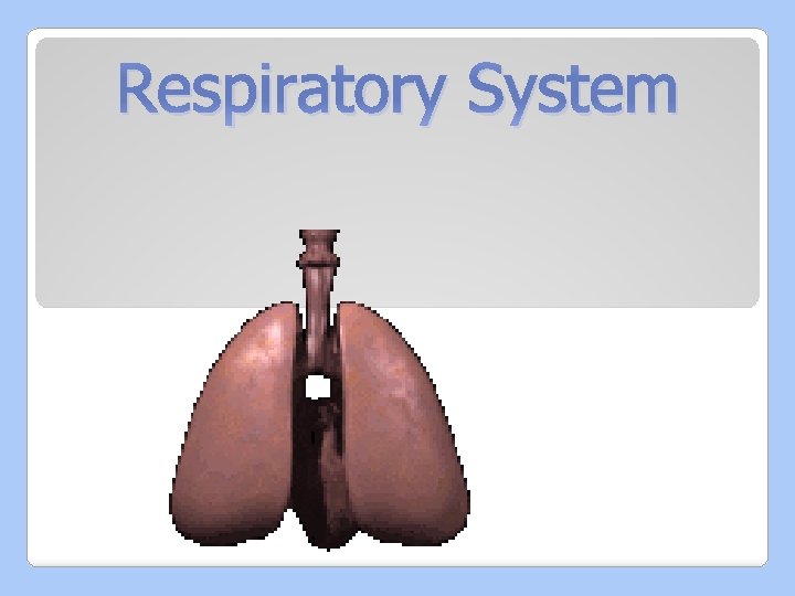 Respiratory System 