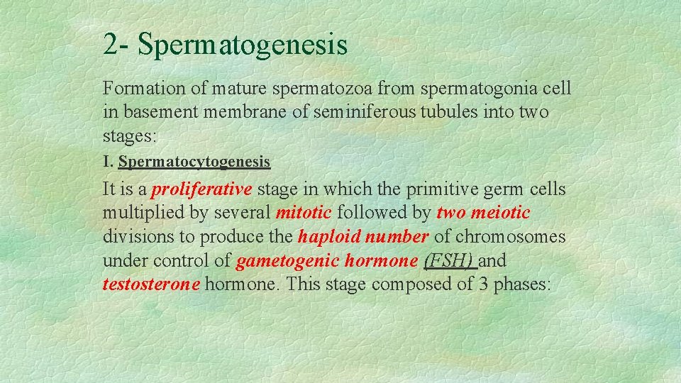 2 - Spermatogenesis Formation of mature spermatozoa from spermatogonia cell in basement membrane of