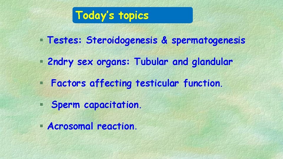 Today’s topics § Testes: Steroidogenesis & spermatogenesis § 2 ndry sex organs: Tubular and