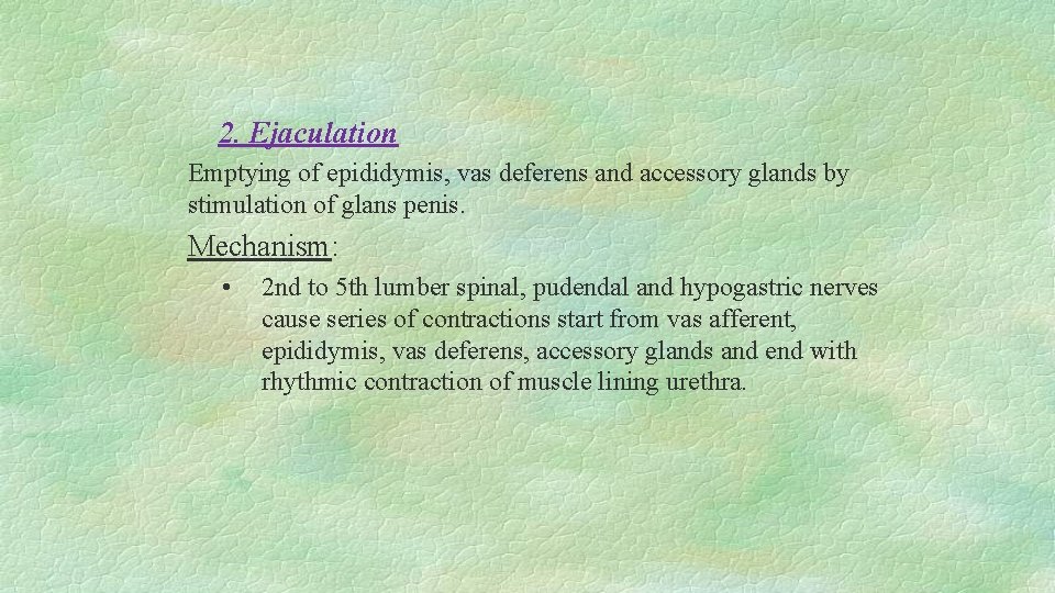 2. Ejaculation Emptying of epididymis, vas deferens and accessory glands by stimulation of glans