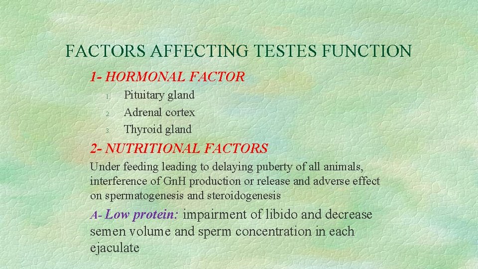 FACTORS AFFECTING TESTES FUNCTION 1 - HORMONAL FACTOR 1. 2. 3. Pituitary gland Adrenal