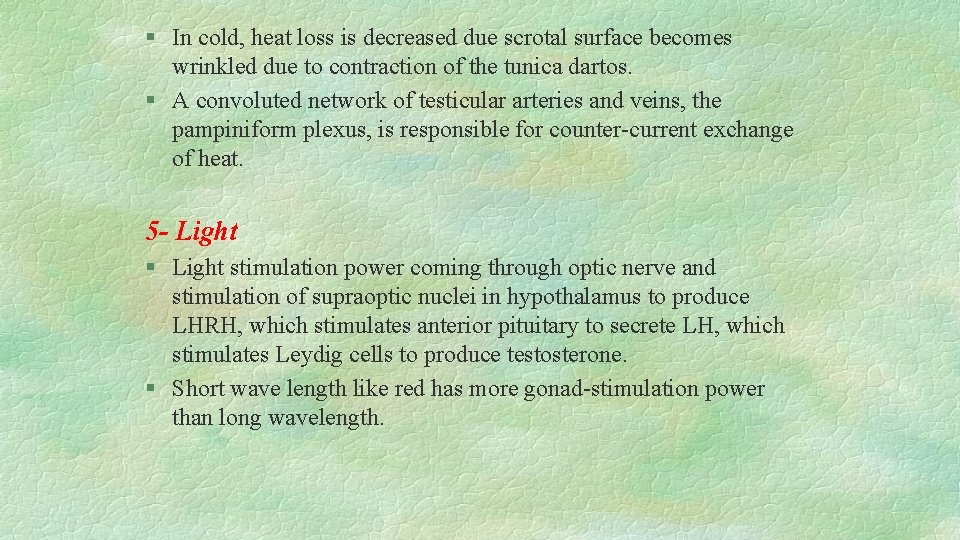 § In cold, heat loss is decreased due scrotal surface becomes wrinkled due to