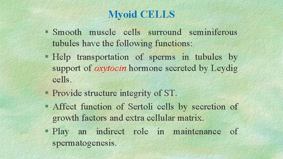 Myoid CELLS § Smooth muscle cells surround seminiferous tubules have the following functions: §