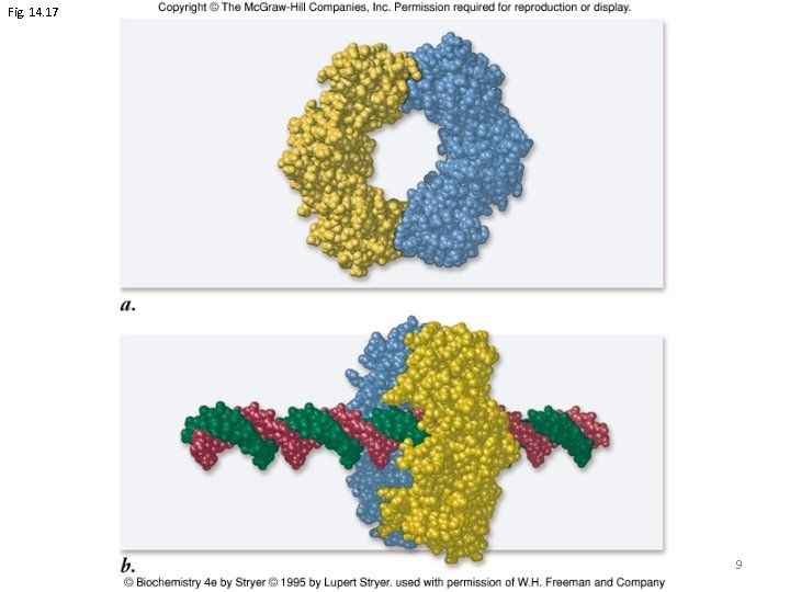 Fig. 14. 17 9 