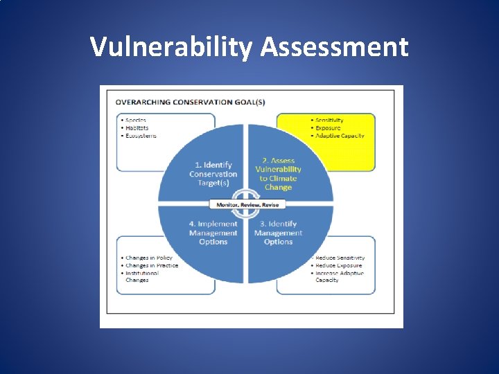 Vulnerability Assessment 