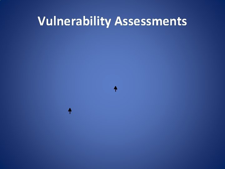 Vulnerability Assessments 