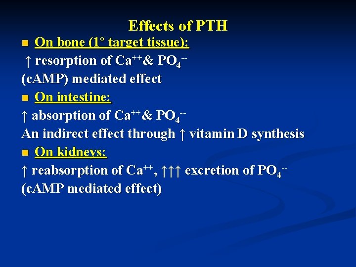 Effects of PTH On bone (1º target tissue): ↑ resorption of Ca++& PO 4