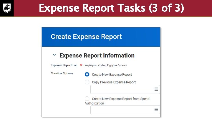 Expense Report Tasks (3 of 3) Screenshot of the create expense report screen. The
