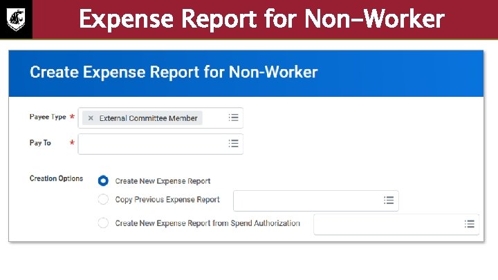 Expense Report for Non-Worker Screenshot of create expense report for non-worker. The following fields